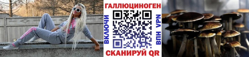 Галлюциногенные грибы прущие грибы  Белая Холуница 